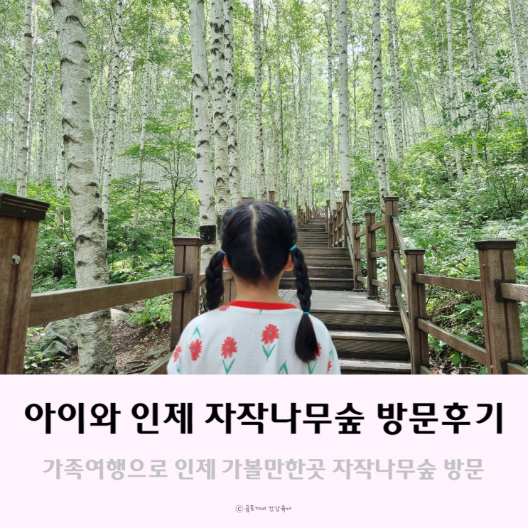 인제 가볼만한곳 초1아이와 자작나무숲 다녀온 후기 인제 가볼만한곳 초1아이와 자작나무숲 다녀온 후기