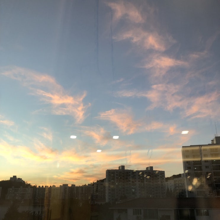  지난 한 주 되돌아보기
