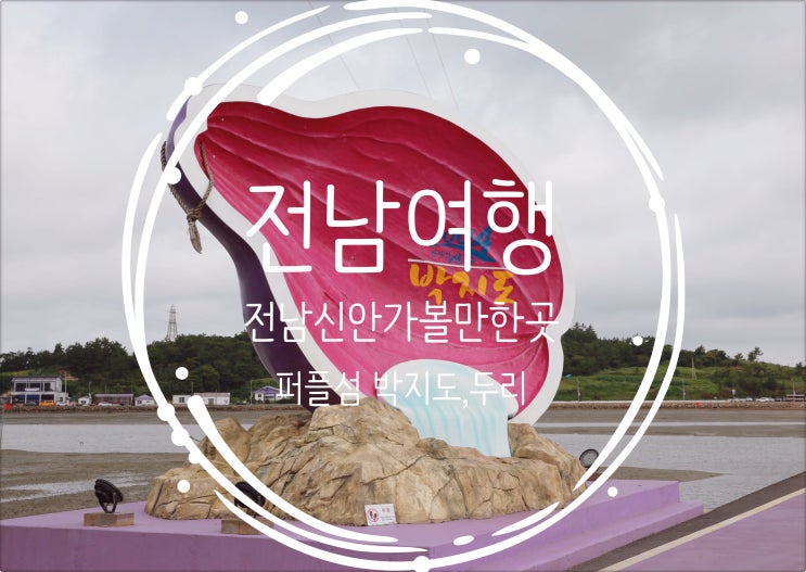  전남신안여행/전남신안가볼만한곳 신안천사섬 퍼플섬박지도 두리