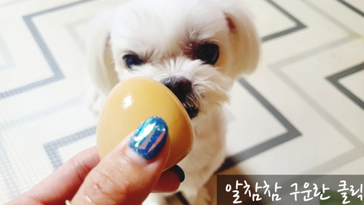  알참참 구운 계란 소금기 전혀 없는 훈제란 든든한 간식으로 쵝오