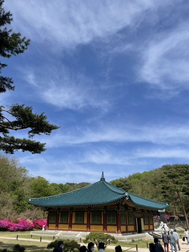  2022 속초여행 | 양양 낙산사부터 설악산, 속초 중앙시장, 숙소 추천까지!(Feat.속초롯데리조트)