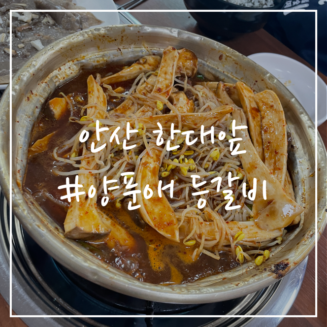  [안산/맛집] 한대앞 양푼애등갈비