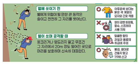추석 앞두고 벌쏘임·예초기 사고 주의보…예방 요령은? 행정안전부 추석 앞두고 벌쏘임·예초기 사고 주의보…예방 요령은? 행정안전부