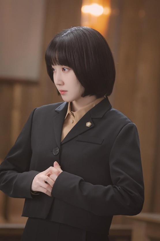 우영우 팽나무 천연기념물 확정!?