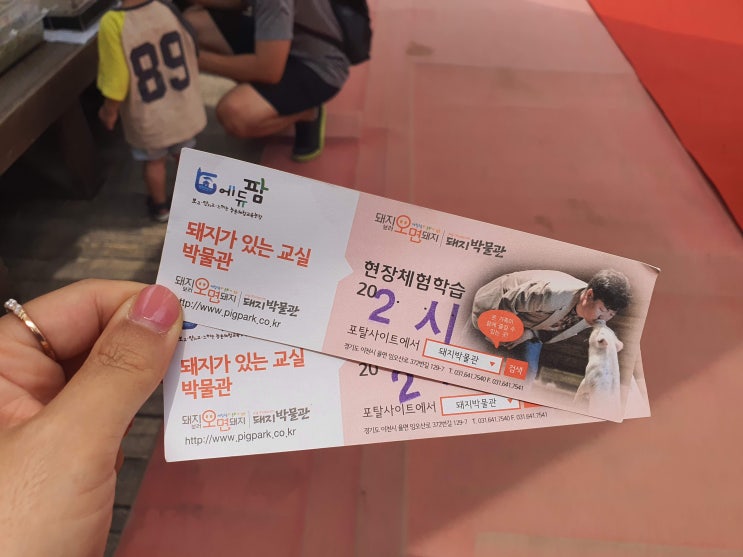 아이가 동물들과 교감할 수 있는 경기도 이천 돼지박물관 아이가 동물들과 교감할 수 있는 경기도 이천 돼지박물관