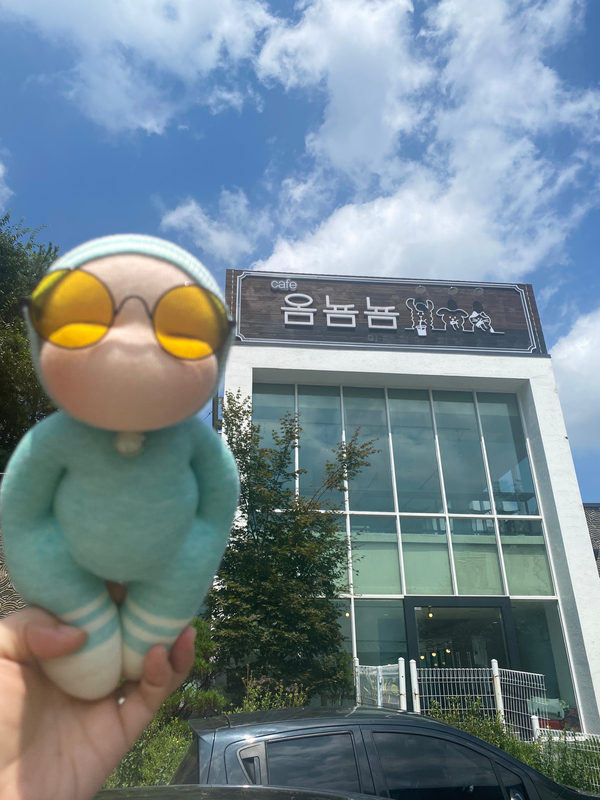  남양주 별내/알파카와 강아지가 함께 하는 카페 옴뇸뇸(애견동반 가능)