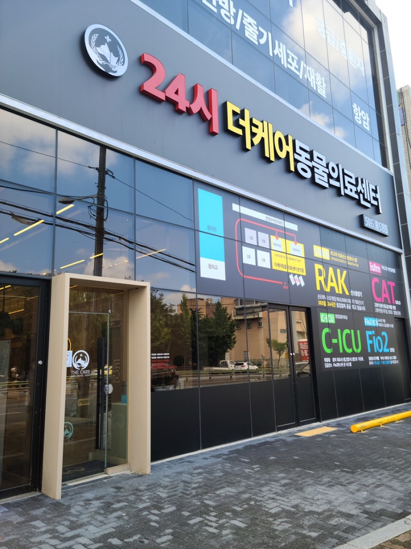 구리동물병원 고양이 만성 구토원인과 치료방법은