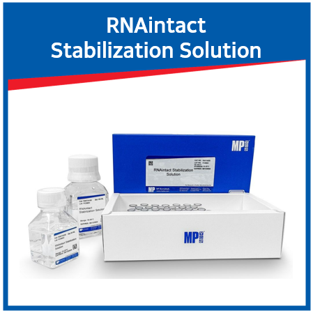 RNAintact Stabilization Solution -샘플 내 RNA의 안정화 및 보존