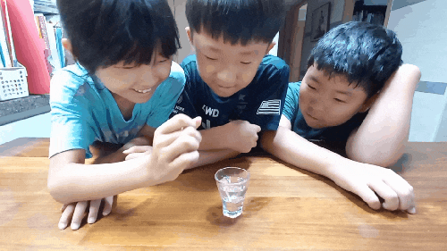  [과학실험] 깨끗한 못을 도금시켜 보기 