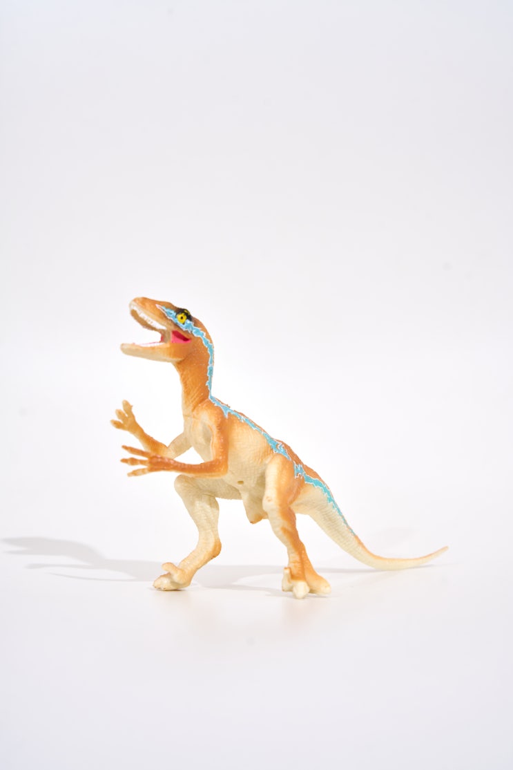 벨로시랩터 뿔공룡 트리케라톱스 코리토사우루스 공룡 공부