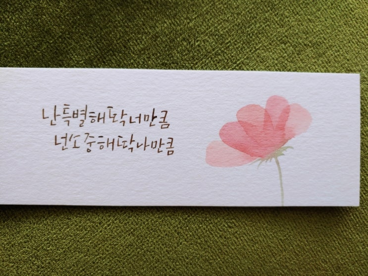  난 특별해 딱 너만큼