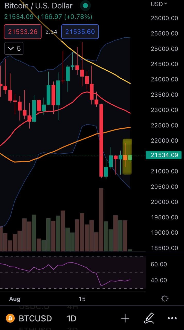 비트코인, 크립토 시장을 분석하는 아침 22.08.25 : 네이버 블로그
