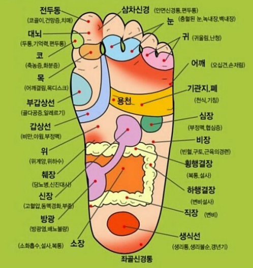 발지압점 발바닥 혈자리, 발지압 효과와 방법에 대해서 : 네이버 블로그