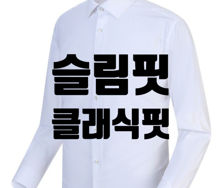  토마스모어 페이퍼셔츠 슬림핏 클래식핏 비교해요