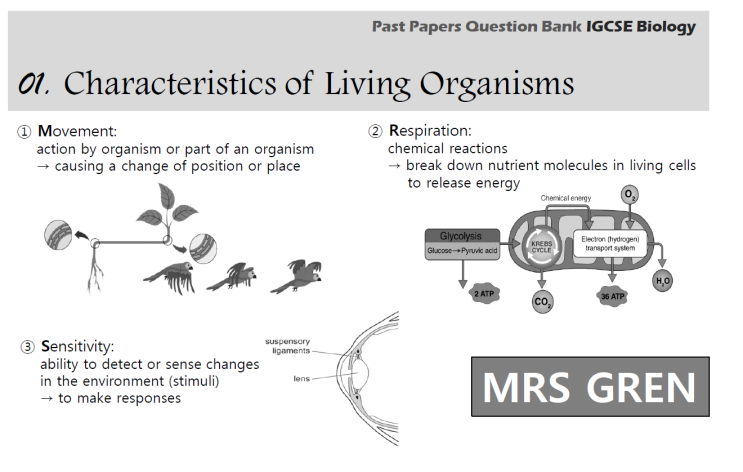 IGCSE Biology Topical Past Papers 01Characteristics and Classification of Living Organism