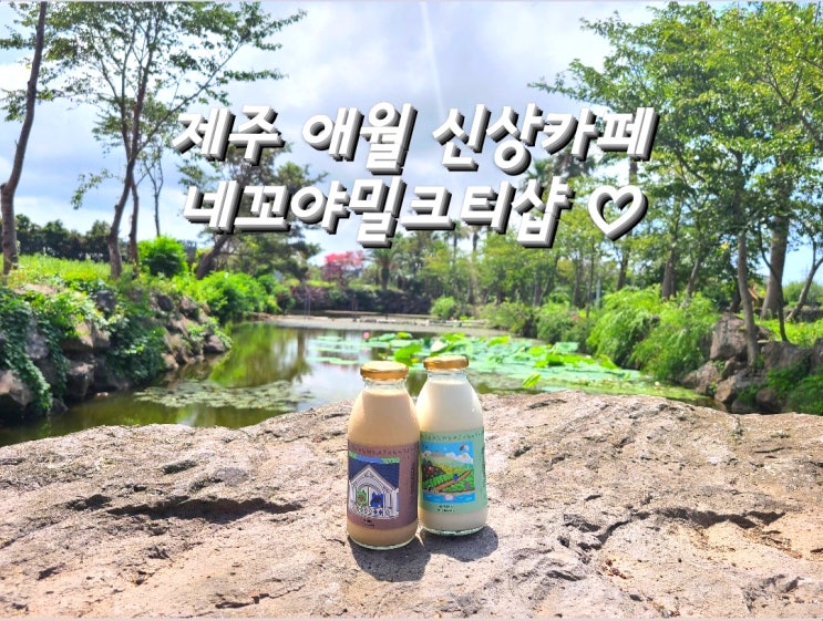  제주 신상카페 네꼬야 밀크티샵 방문 솔직후기