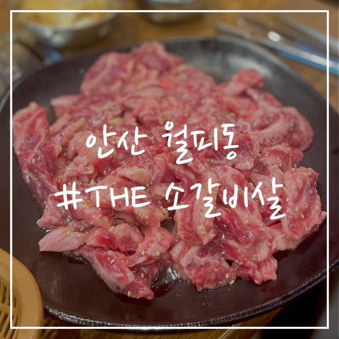 [안산/맛집] 월피동 THE 소갈비살