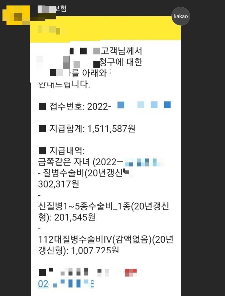  오늘의 일기 119대 112대 신질병수술비 1~5종 청구 접수한날