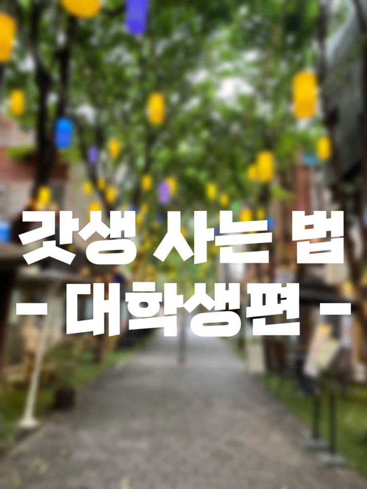  갓생루틴 , 갓생사는 법 대학생버전의 발행계획