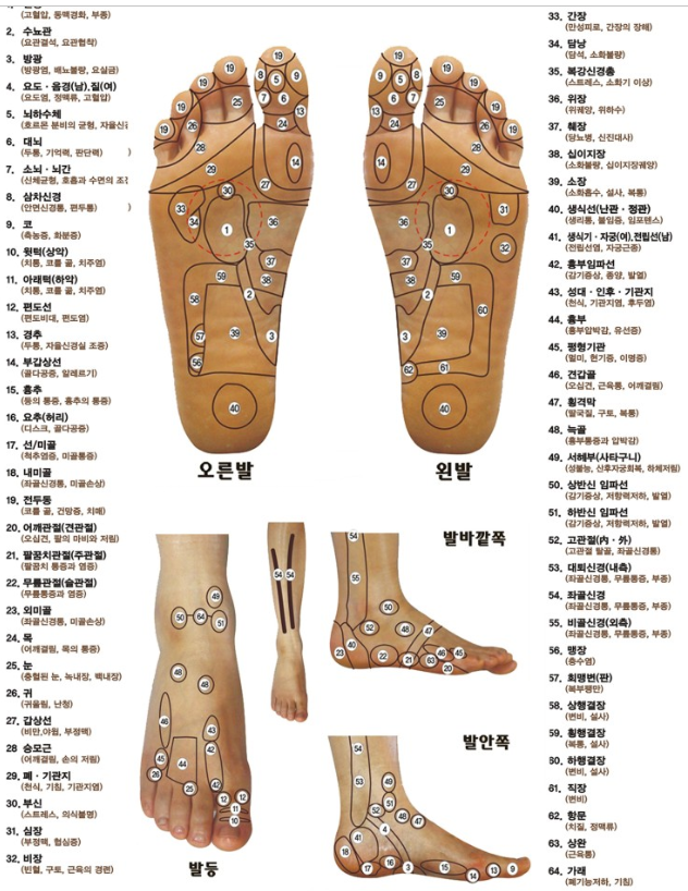 발지압점 발바닥 혈자리, 발지압 효과와 방법에 대해서 : 네이버 블로그