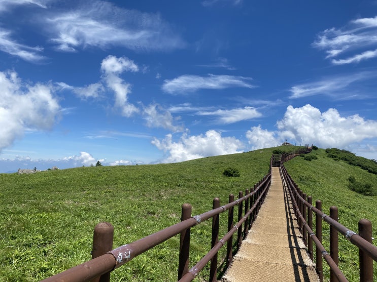  취미등산 소백산 (삼가~비로봉~원점회귀) 등산코스