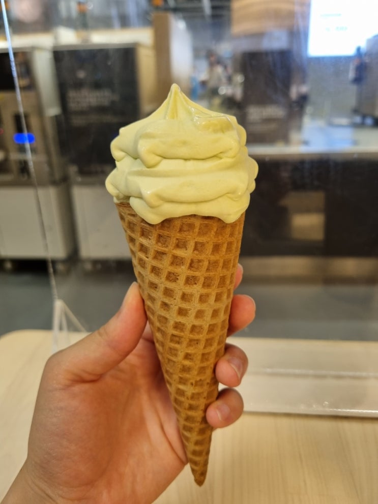  8월 넷째주 주간일기