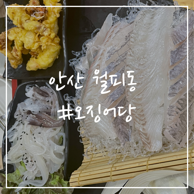  [안산/맛집] 월피동 오징어당