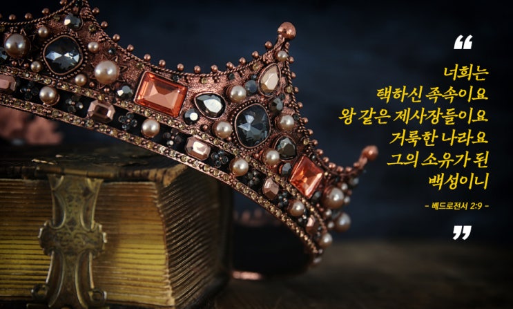  [말씀칼럼] 택하신 족속, 왕같은 제사장, 거룩한 나라, 그의 소유된 백성