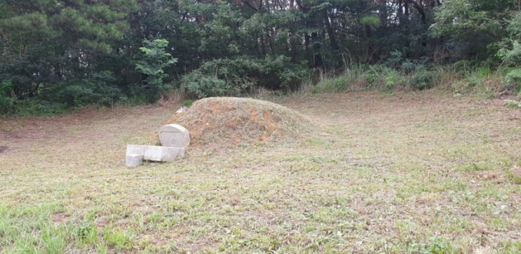  대구 달성군 벌초 대행 작업 안전하게 했어요