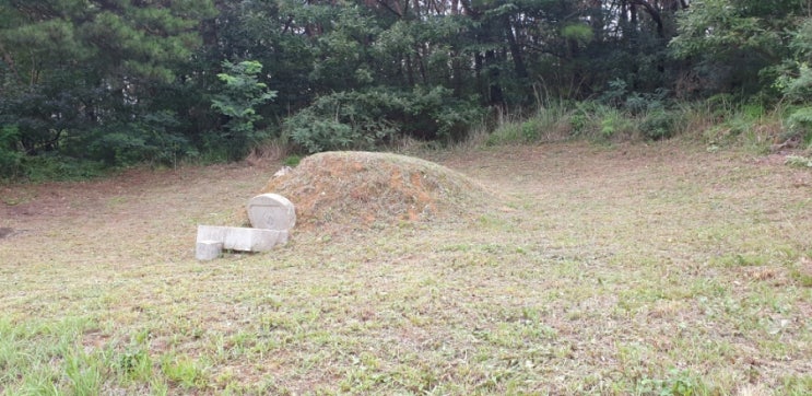 대구 달성군 벌초 대행 작업 안전하게 했어요