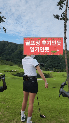  여성골프웨어 반팔 추천(팜스프링스 골프웨어 22SS 여름 여성 골지 카라 티셔츠)