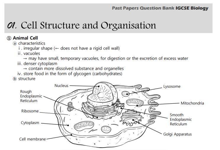 IGCSE Biology Topical Past Papers 02. Organisation and Maintenance of the Organism