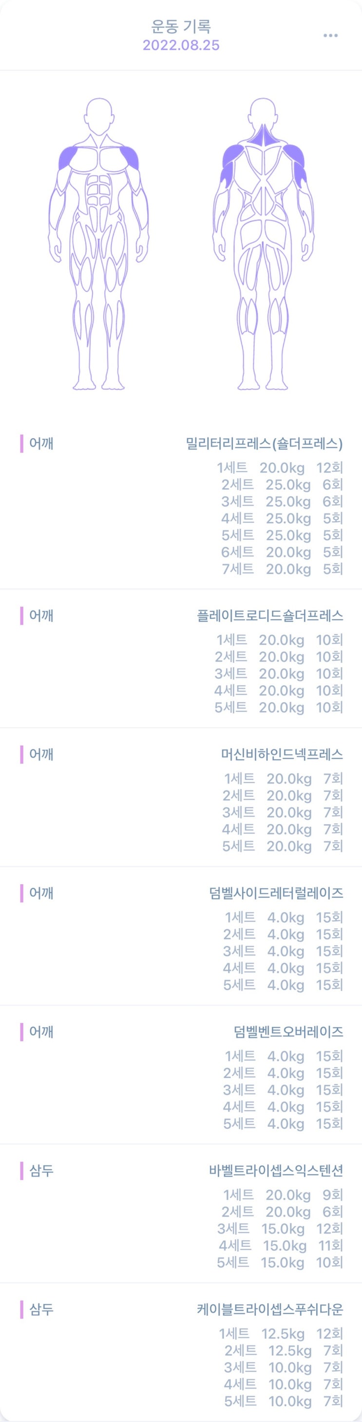  마른 비만 운동 4분할 루틴 15일차
