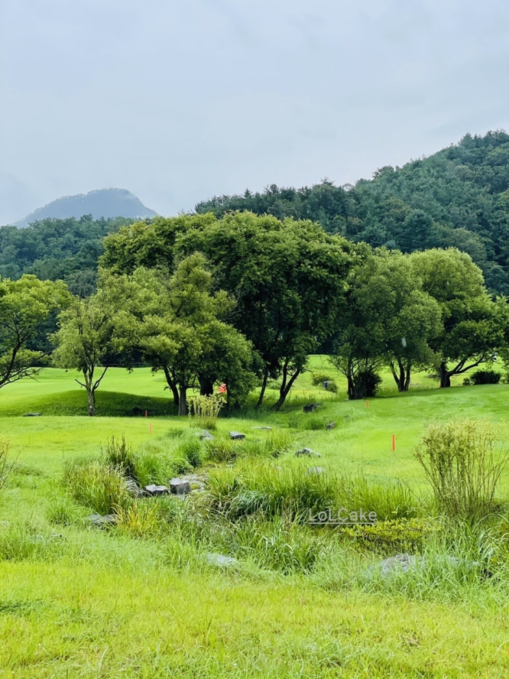 KLPGA 한화클래식 골프 대회가 열리는, 제이드팰리스 꿀잼 직관 후기
