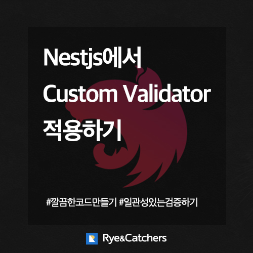  Nestjs에서 custom validator 적용하기