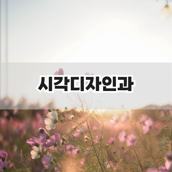 시각디자인과 대졸자전형, 실기부담 줄이며 입학하기!