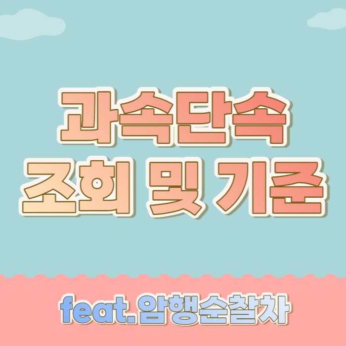과속단속조회 및 기준(feat.암행순찰차)