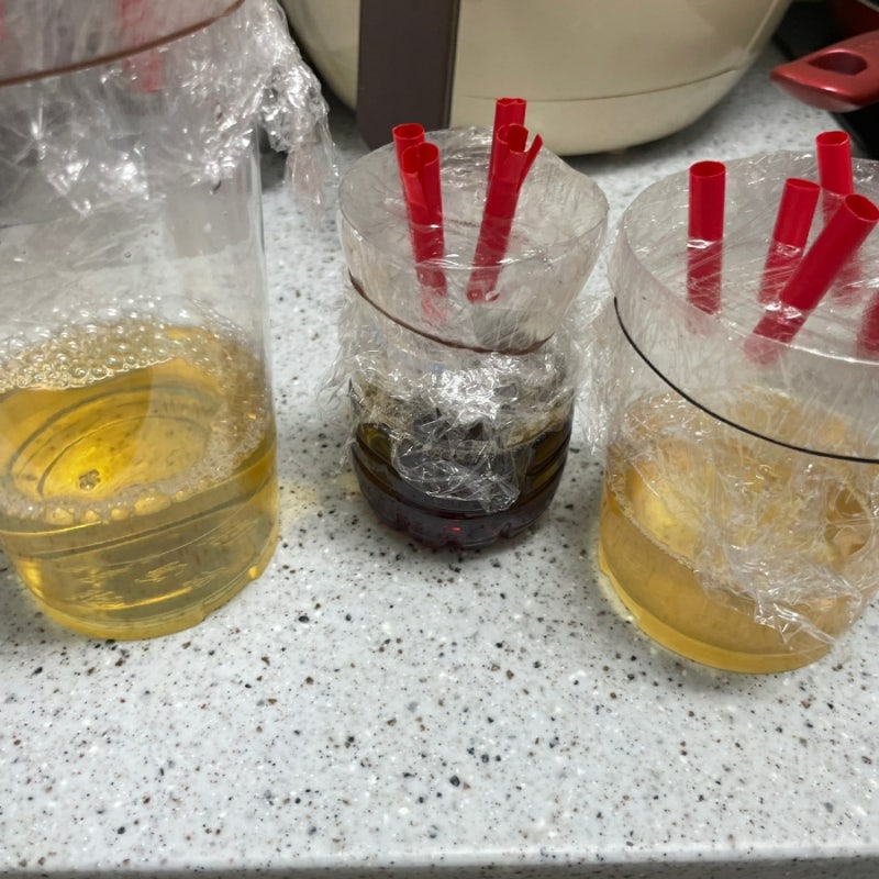 여름철 날파리 퇴치제 만들기