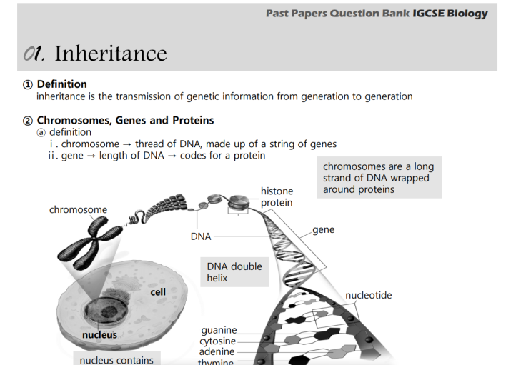 IGCSE Biology Topical Past Papers Topic 17. Inheritance