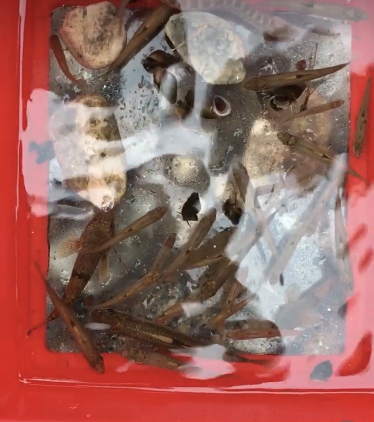 파스텔모텔 사진 2