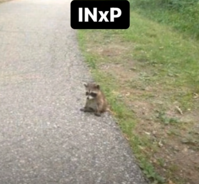  INFP 특징,팩폭,빙고,직업추천 / 인프피 특징
