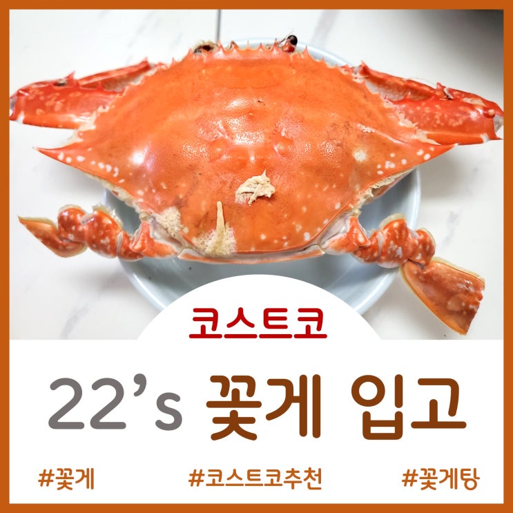  코스트코 - 22년에도 꽃게가 찾아왔어욥!!