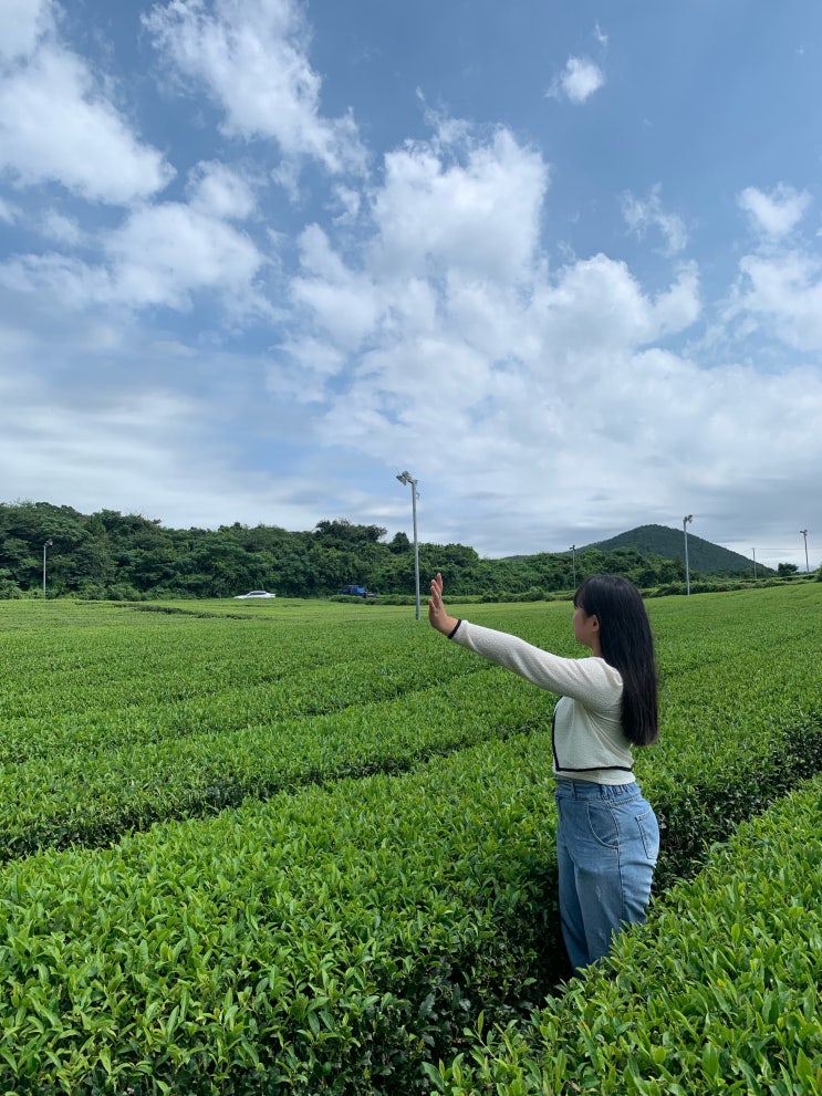  [제주도 3박 4일] 2일차 :: 문도지오름/성이시돌목장/오설록/사계해변/산방산/카트체험/사격장/올레야시장