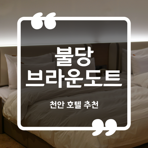  천안 숙소 추천 - 불당브라운도트 VIP스위트 내돈내산 후기