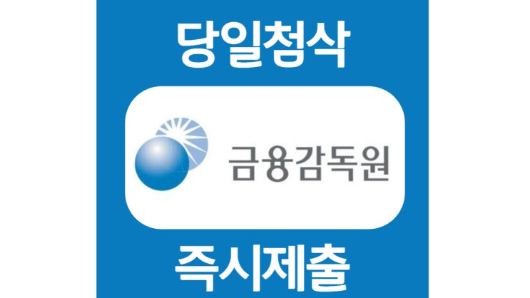금융감독원 종합직원 신입 자기소개서 자소서 문항 작성방법 쓰는법 금융감독원 종합직원 신입 자기소개서 자소서 문항 작성방법 쓰는법