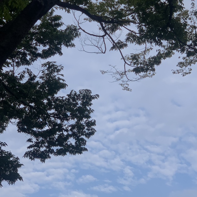  길었던 평일 안녕