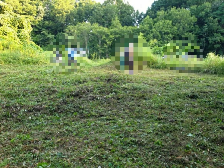  2022년 김천시 구성면 임천리 450 4기 김천벌초 구성면벌초 벌초대행 벌초 추석벌초 상주벌초 문경벌초 고인돌장묘개발 #김천벌초 #선산벌초 #구미벌초 #황간벌초 #영동벌초