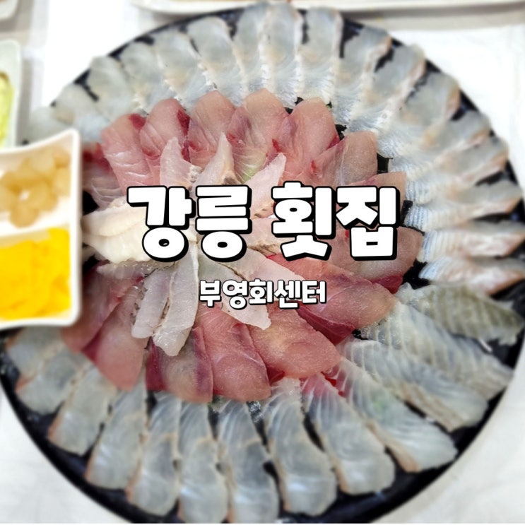  강릉 횟집, 스끼다시 잘 나오는 부영회센터