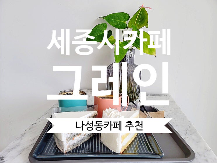 세종시케이크 그레인 나성동카페 수제케이크 맛집