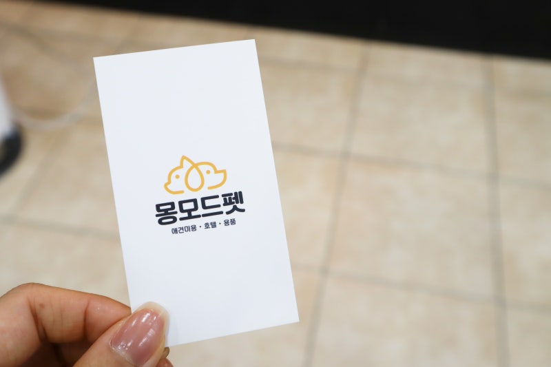 사진 3
